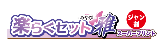 楽らくセット雅
