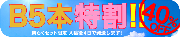 B5特割